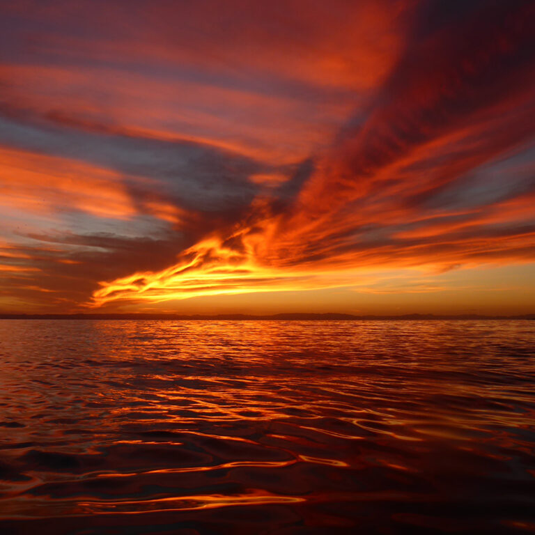 Baja, Mexico (Black Feather)
