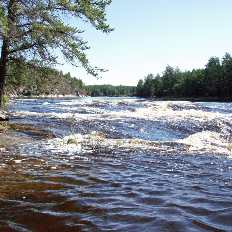 Bloodvein River (Black Feather)