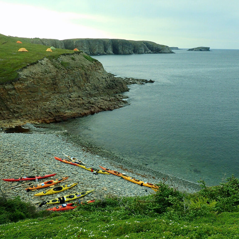 Trinity Bay, Newfoundland (Black Feather & Coastal Adventures)