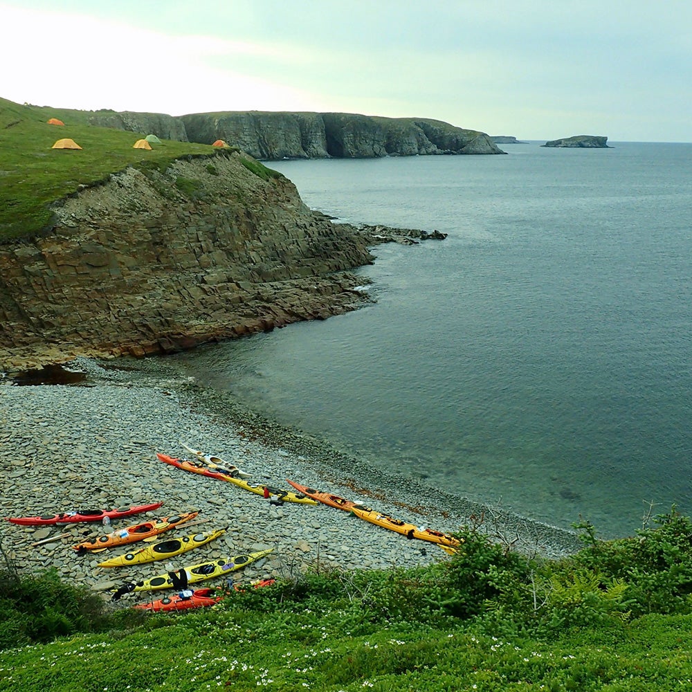 newfoundland-trinity-bay-black-feather
