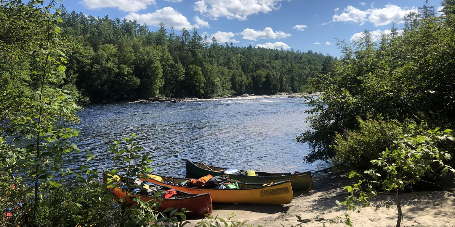 Coulonge River Black Feather