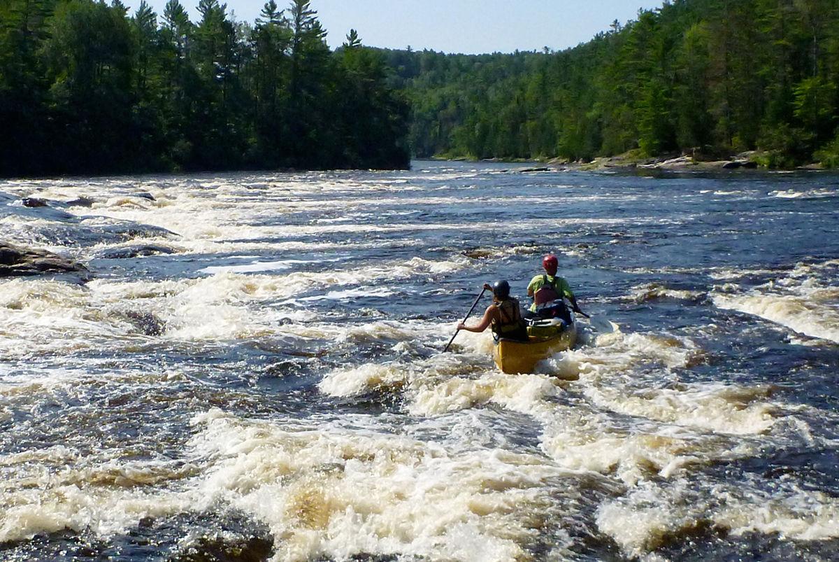 Coulonge River Black Feather