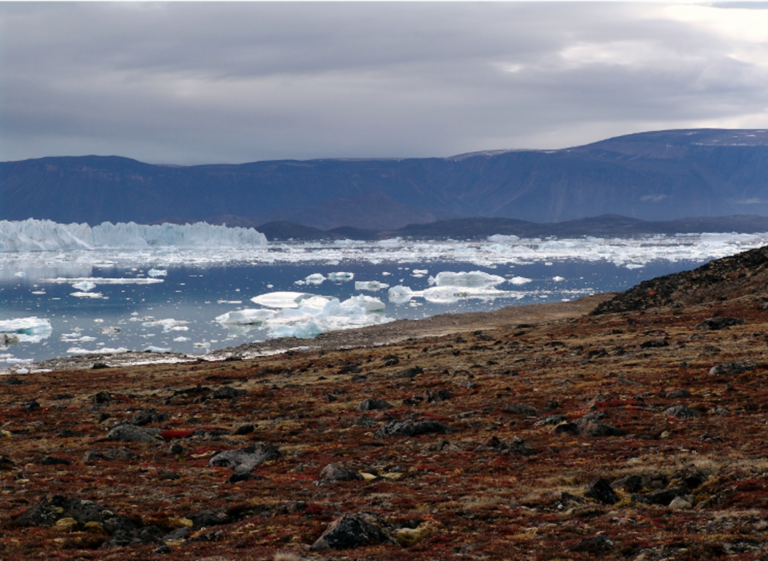 Northwest Greenland Sea Kayaking Qaanaaq Explorer
